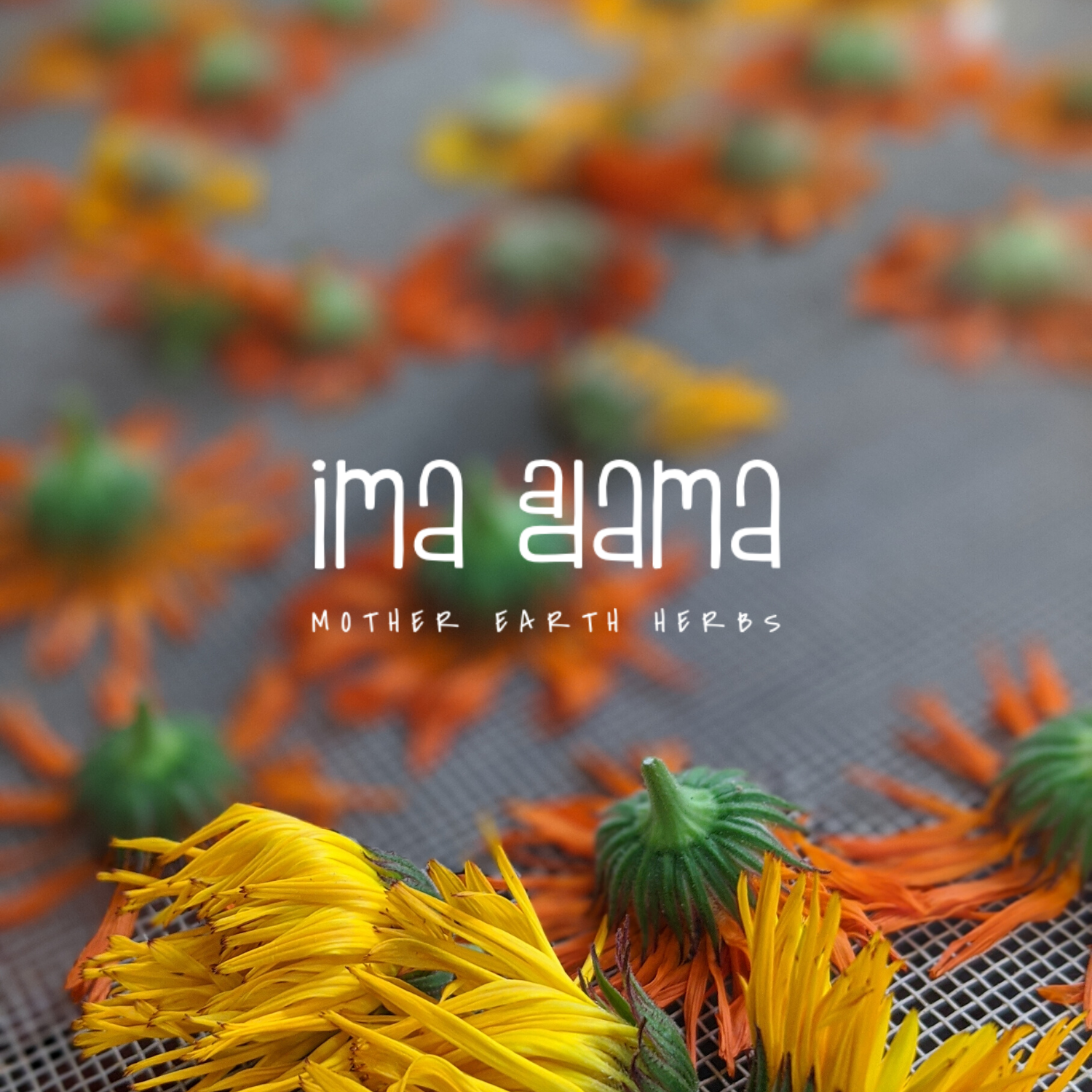 Ima Adama Herbs